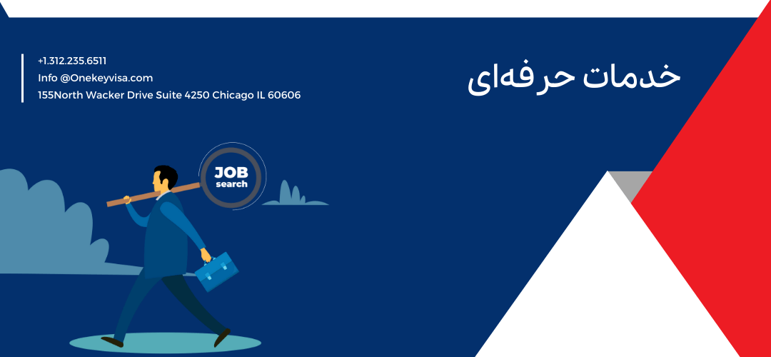 خدمات حرفهای